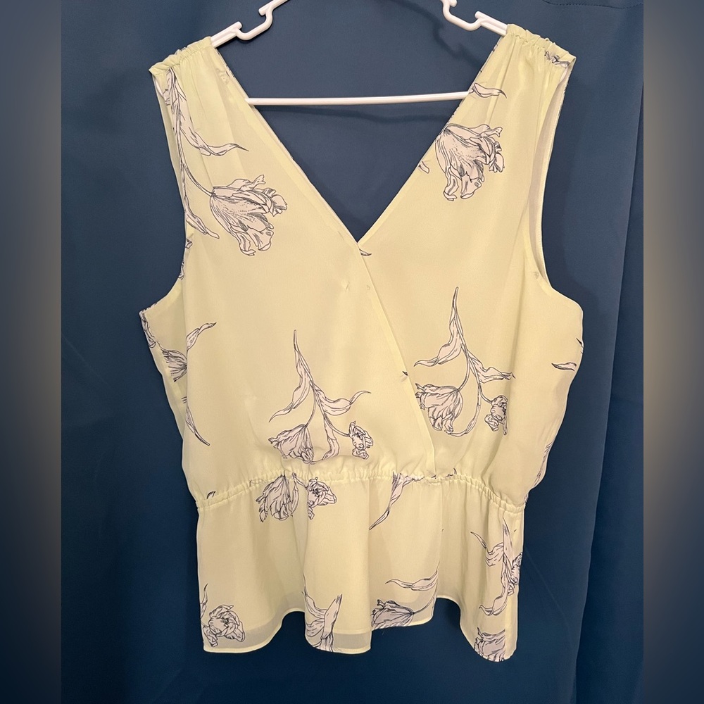 V cut blouse
